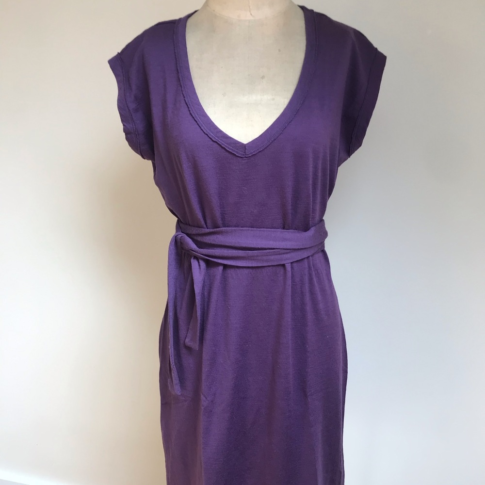 Icebreaker Villa merino wool tie t shirt dress